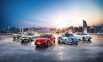一站式互聯(lián)網(wǎng)汽車服務(wù)連鎖品牌 御車無憂